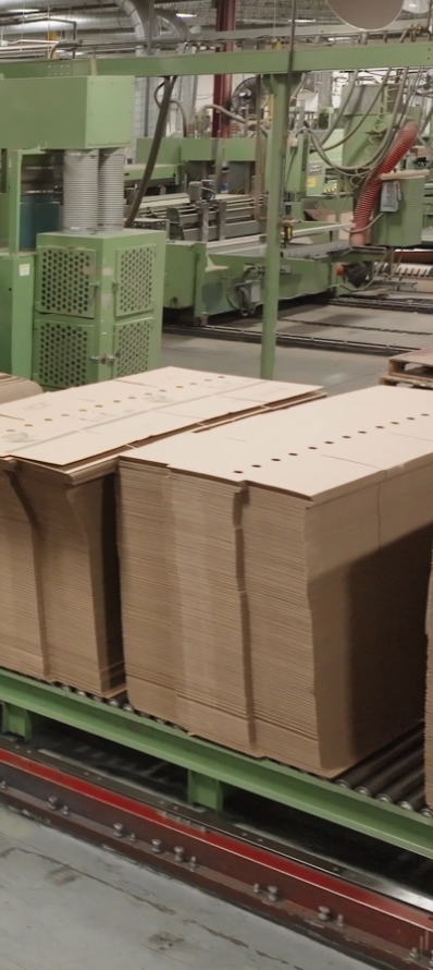 Tavens_broll_master2846